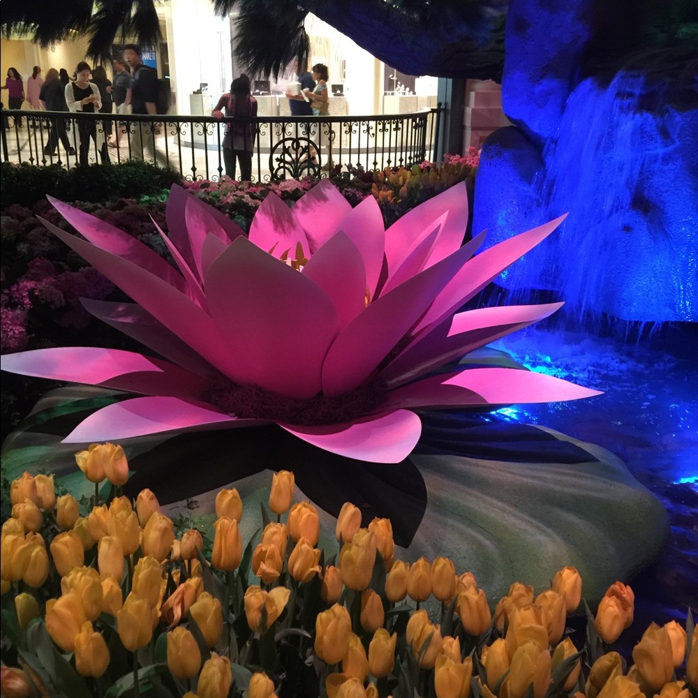 Meet your Posher, Cynthia